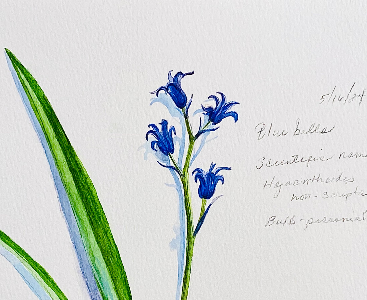 Private Party: Watercolor Painting